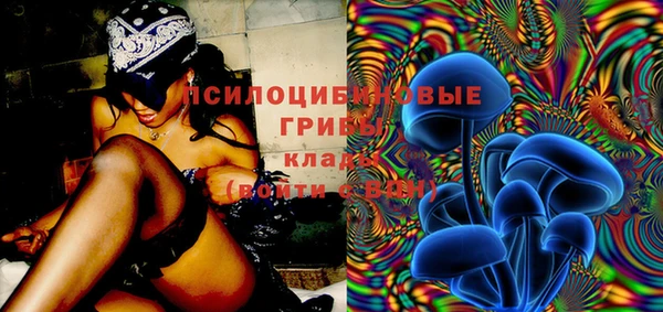 PSILOCYBIN Кодинск