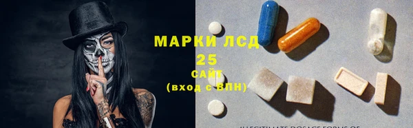 PSILOCYBIN Кодинск