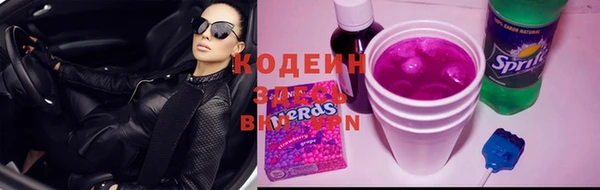 PSILOCYBIN Кодинск