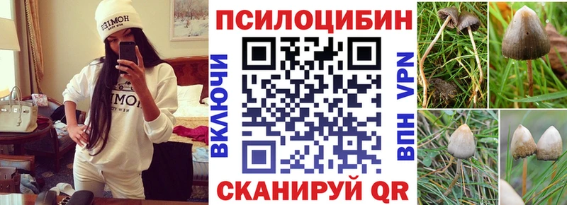 Галлюциногенные грибы Psilocybe  Купить  Тырныауз 